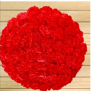 Meet your Posher, Ma. isa